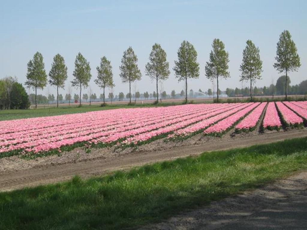 Hotel Hajé Restaurant De Aalscholver Lelystad